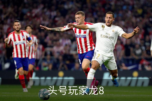头号玩家龙8公司简介图片